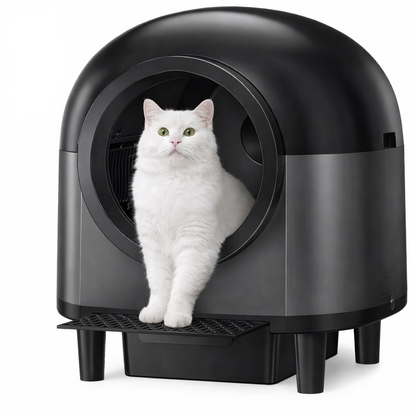 Automatic Cat Litter Box